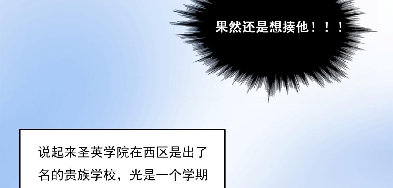 玛丽苏学院？