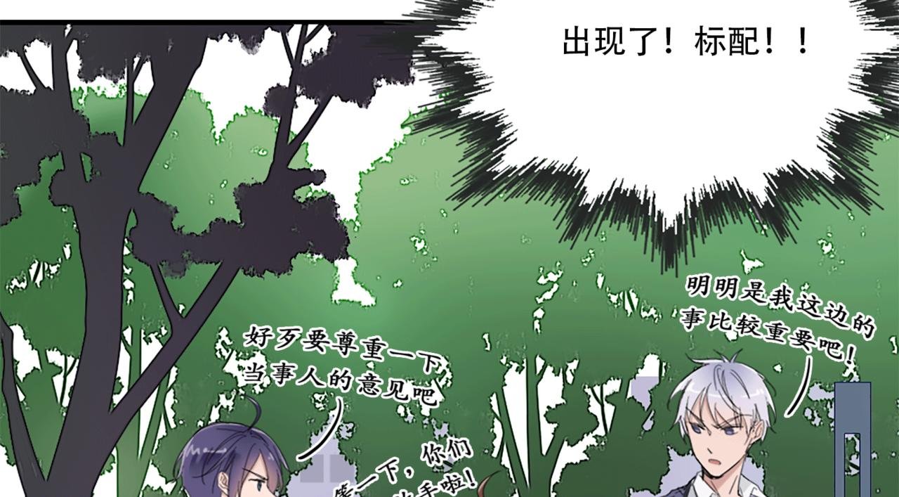 玛丽苏学院？