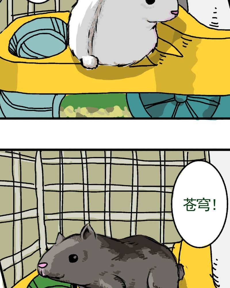 当日常变成非日常 第16集