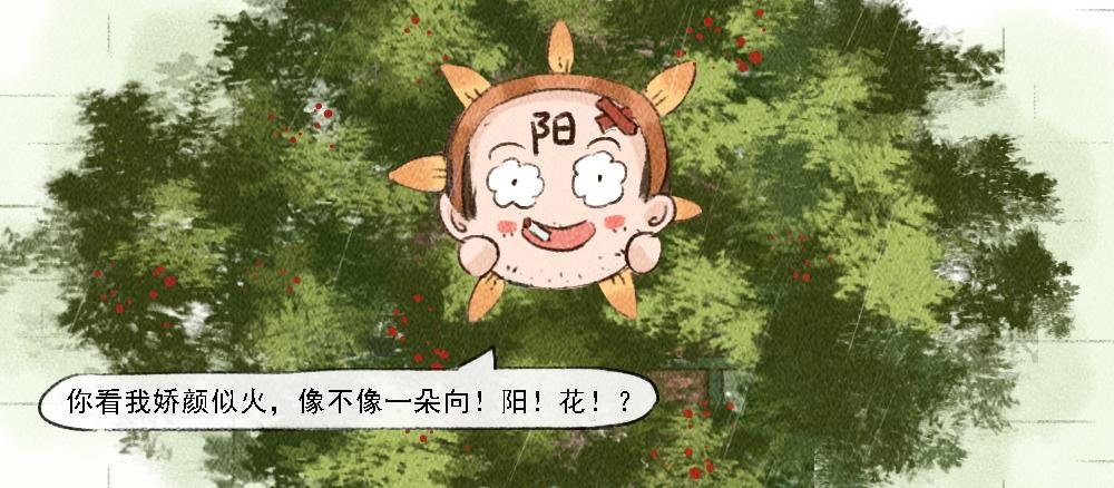 遗忘
