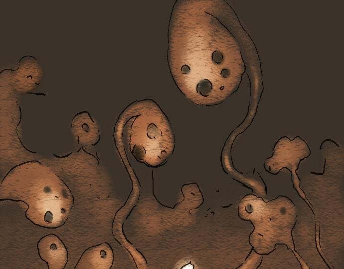 番外4-实验作品Fungus