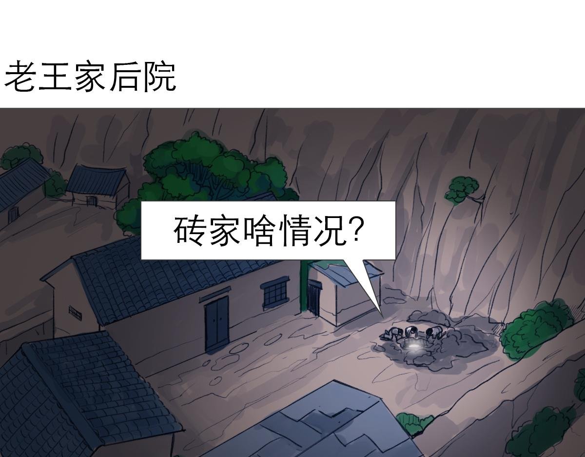 盗墓贼去我家