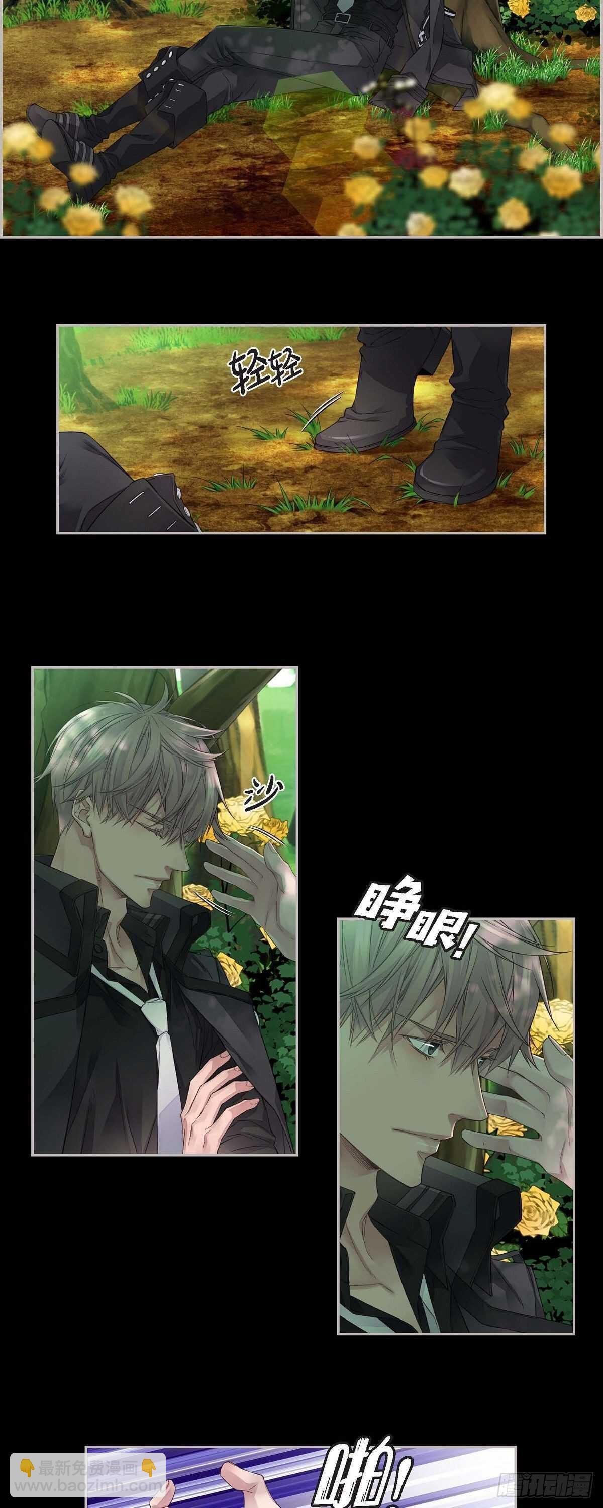 08.罗宾哥