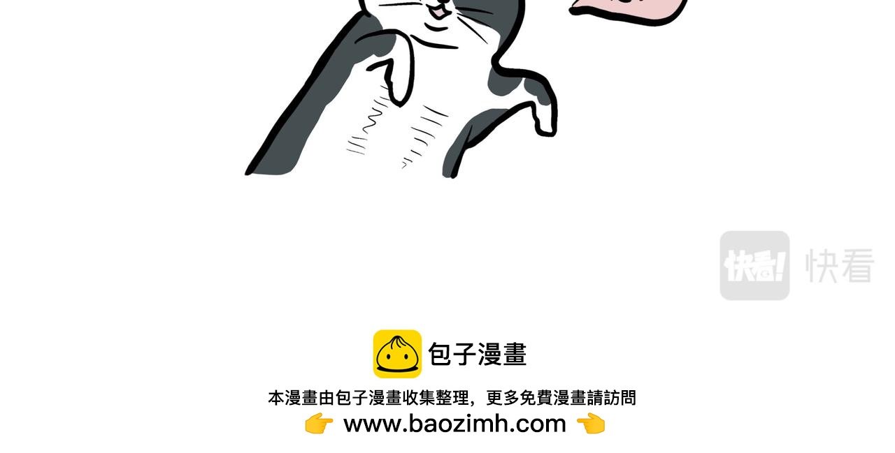 3 进入早孕状态