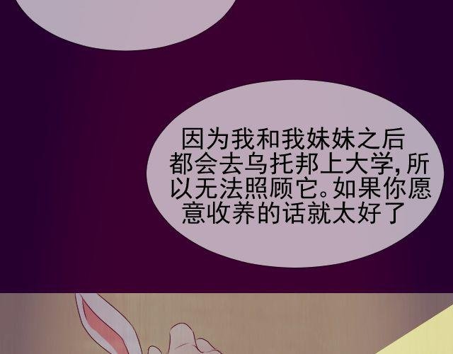 第10话 阿尔吉侬