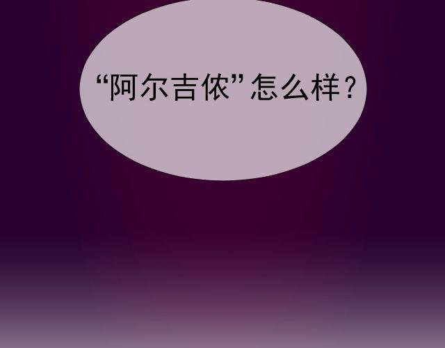 第10话 阿尔吉侬
