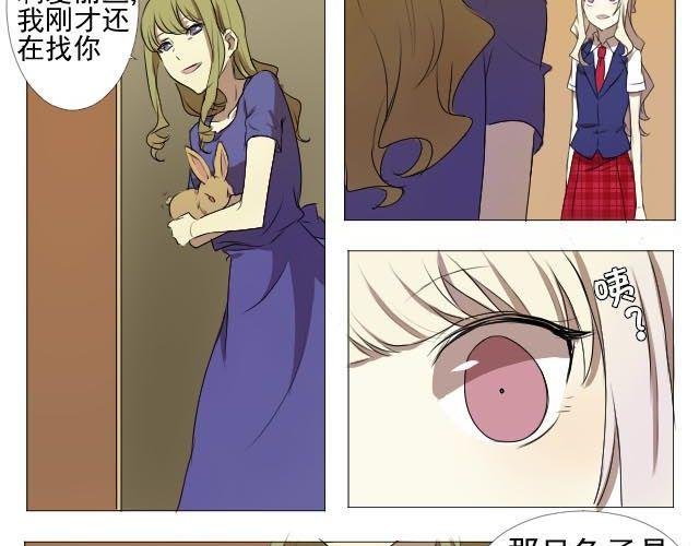 第3、4话 带着怀表的兔子