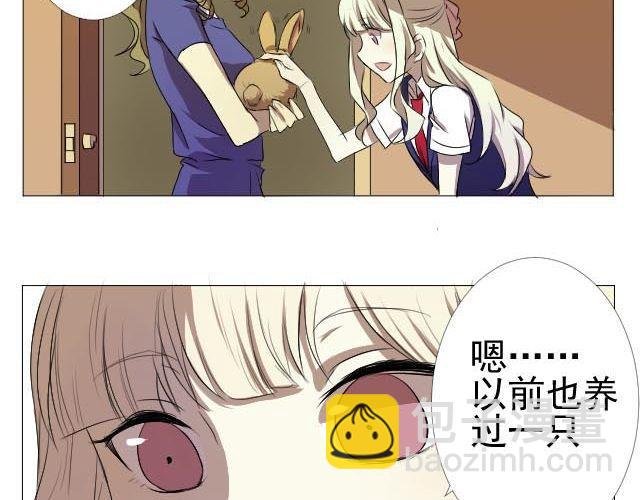 第3、4话 带着怀表的兔子