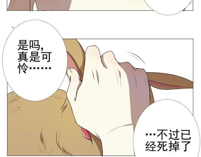 第3、4话 带着怀表的兔子