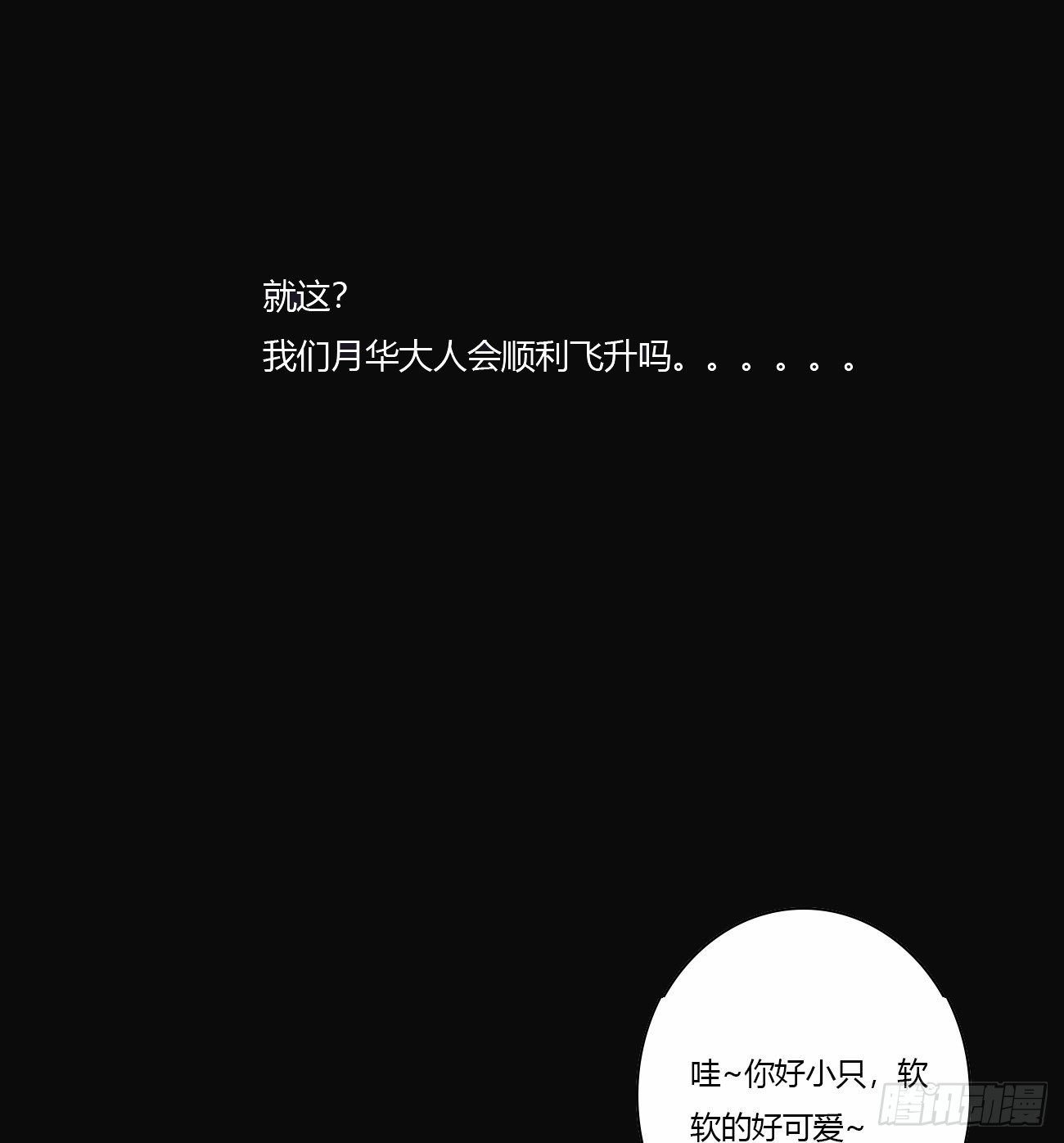 预告