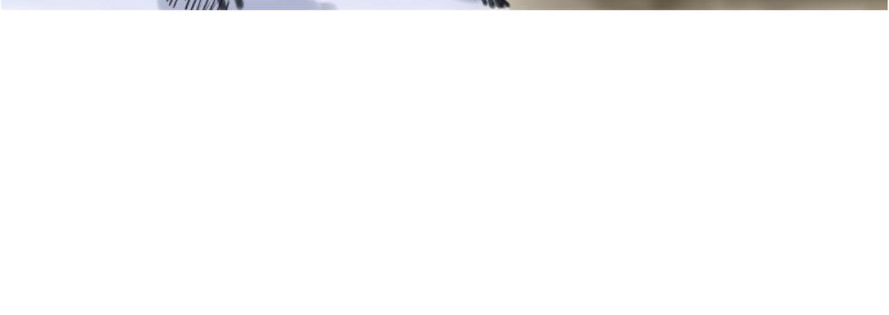咚咚咚