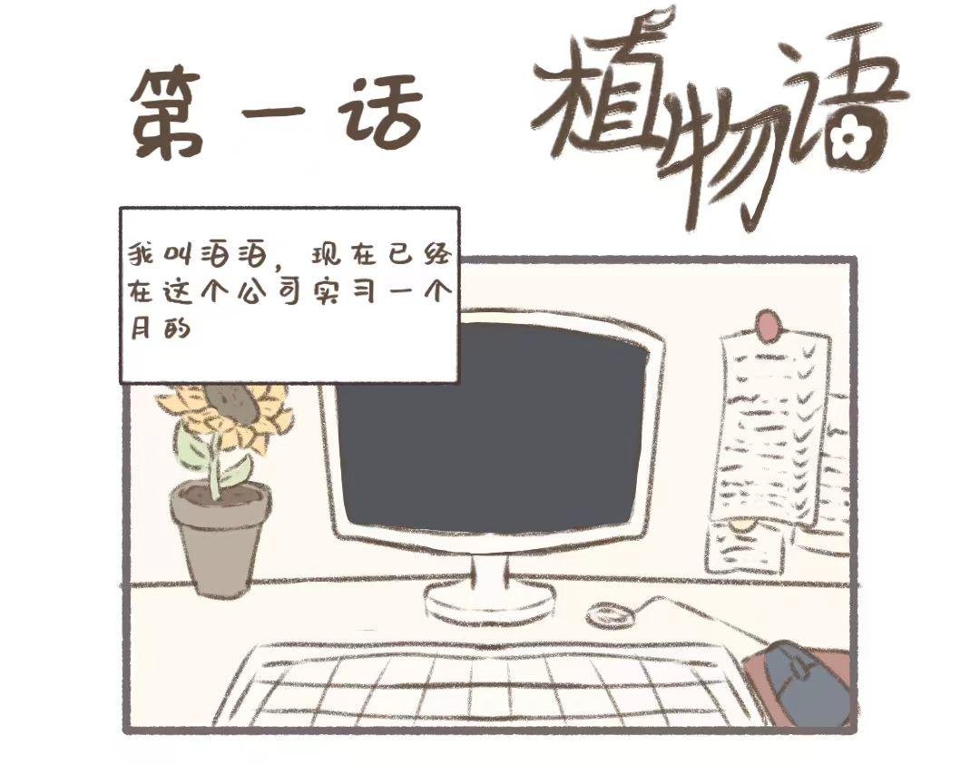 公司可靠的前辈