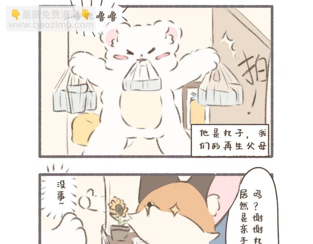 公司可靠的前辈