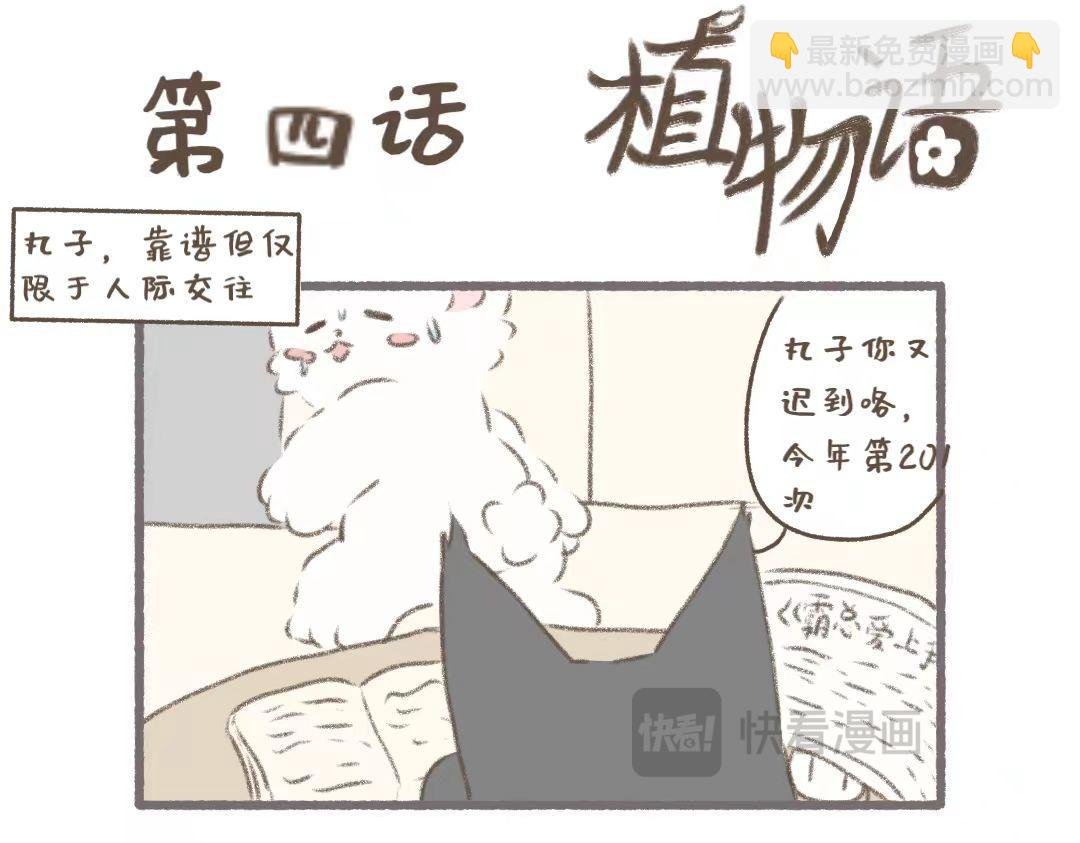 公司可靠的前辈