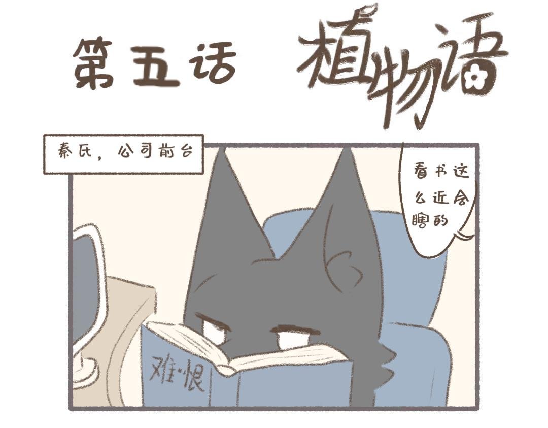 公司可靠的前辈