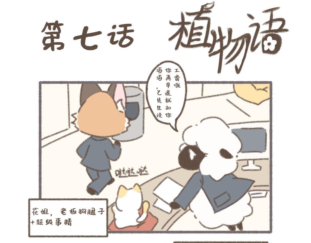 公司可靠的前辈