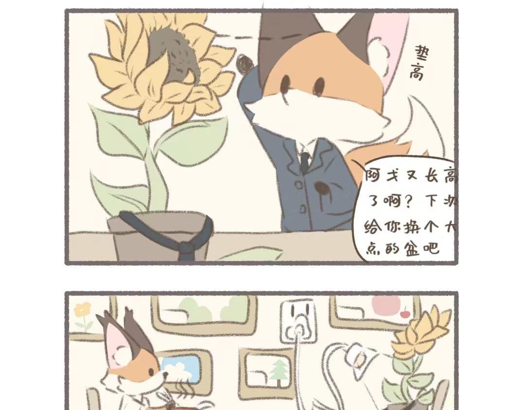 公司可靠的前辈