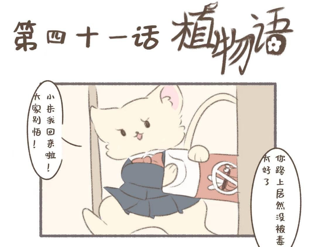 灭蚊