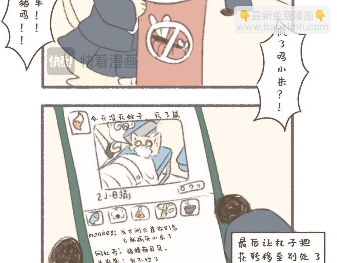 灭蚊