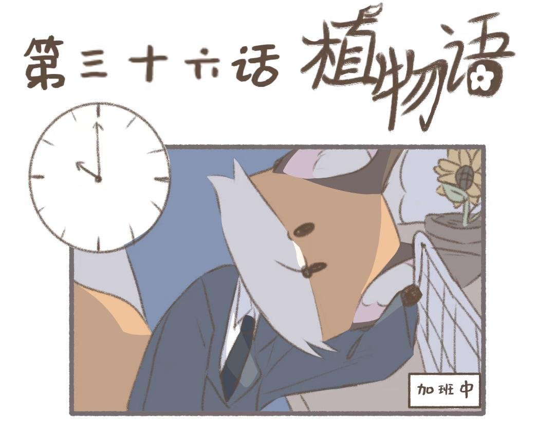 夜宵
