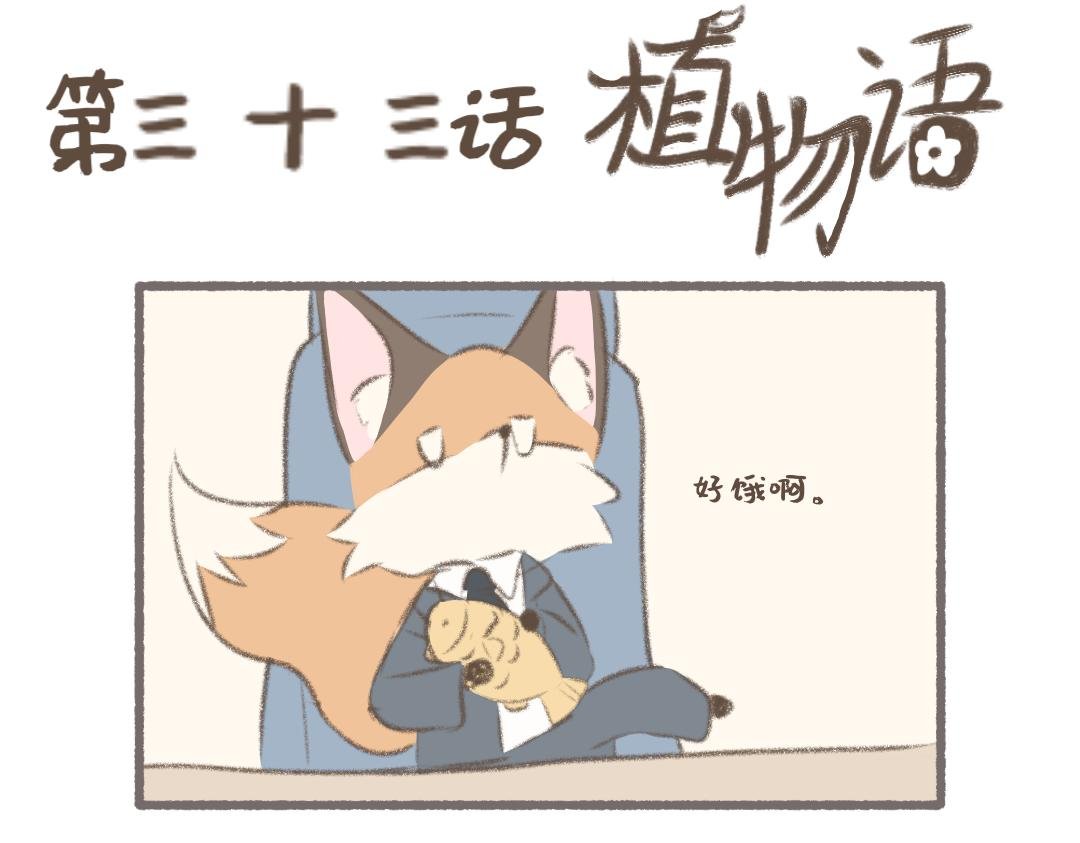 彩虹小熊