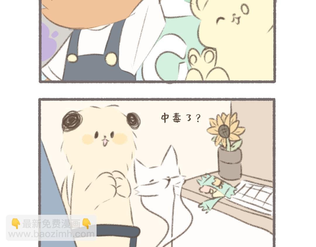 彩虹小熊