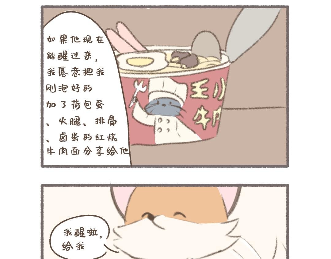 彩虹小熊