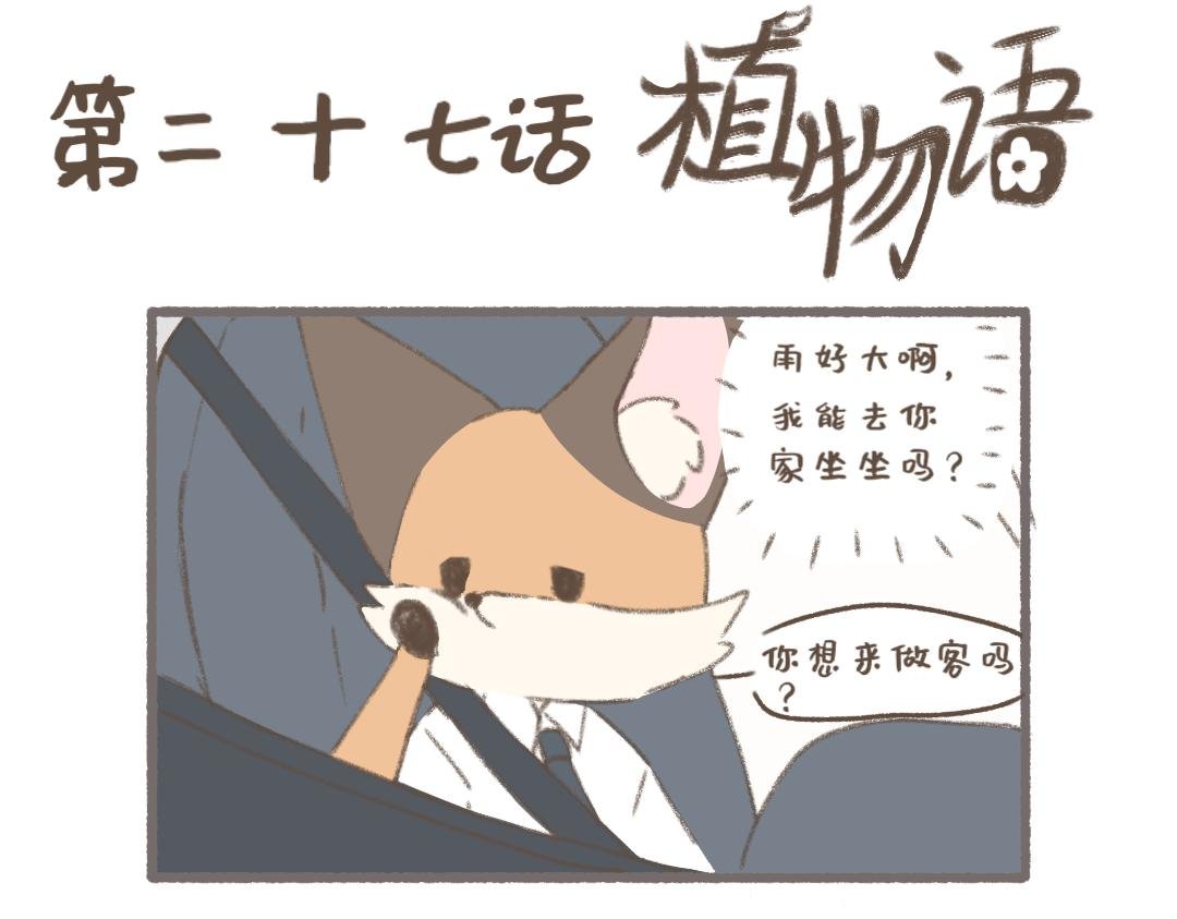 访客