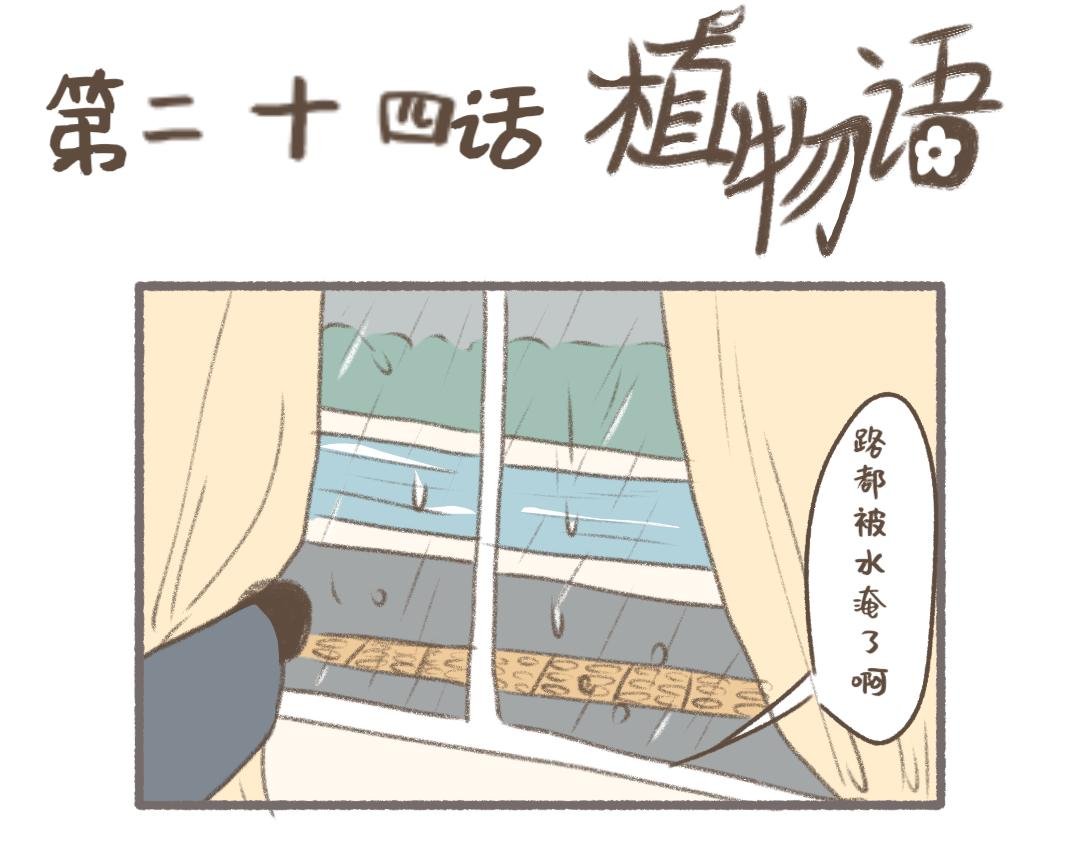 雨季