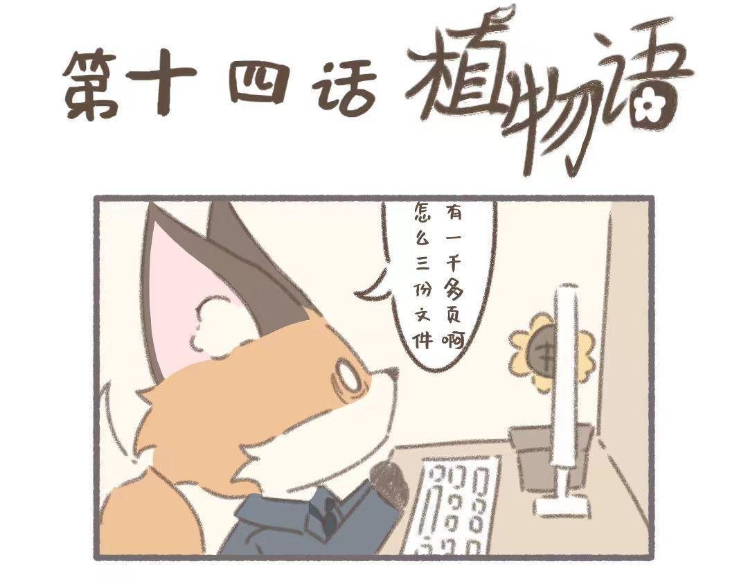 泊泊的休假日