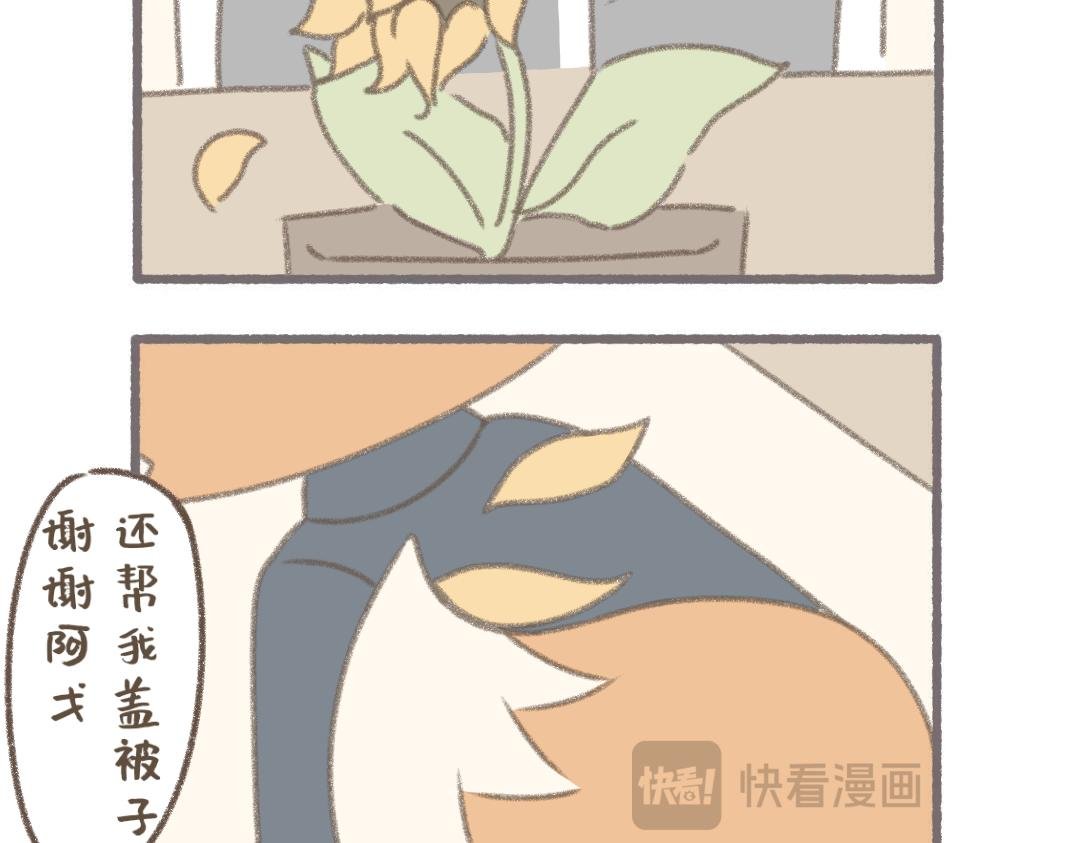 泊泊的休假日