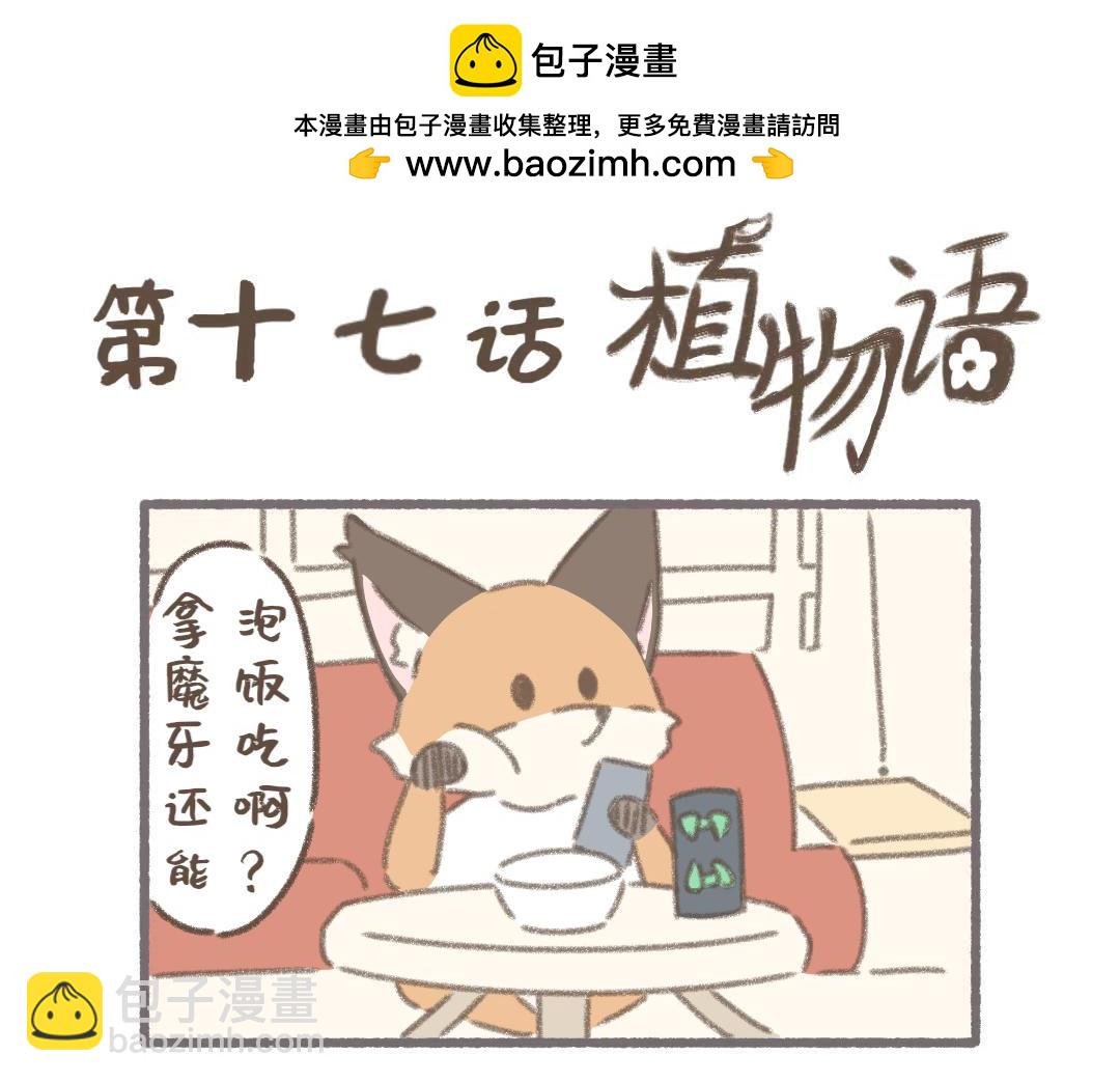 泊泊的休假日