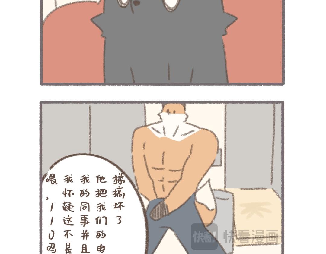 泊泊的休假日