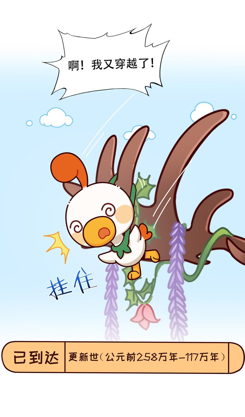 08 爱尔兰传奇