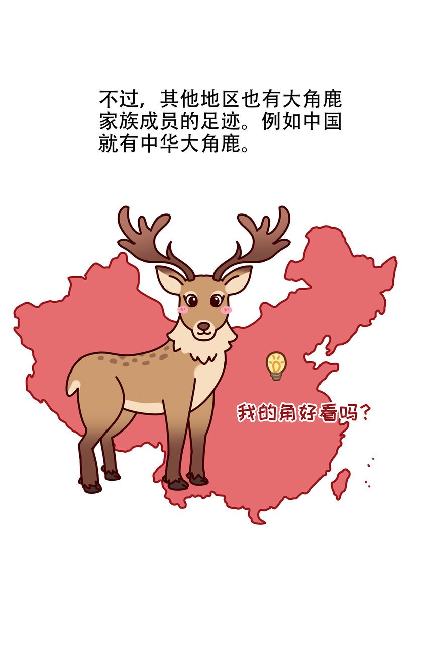 08 爱尔兰传奇