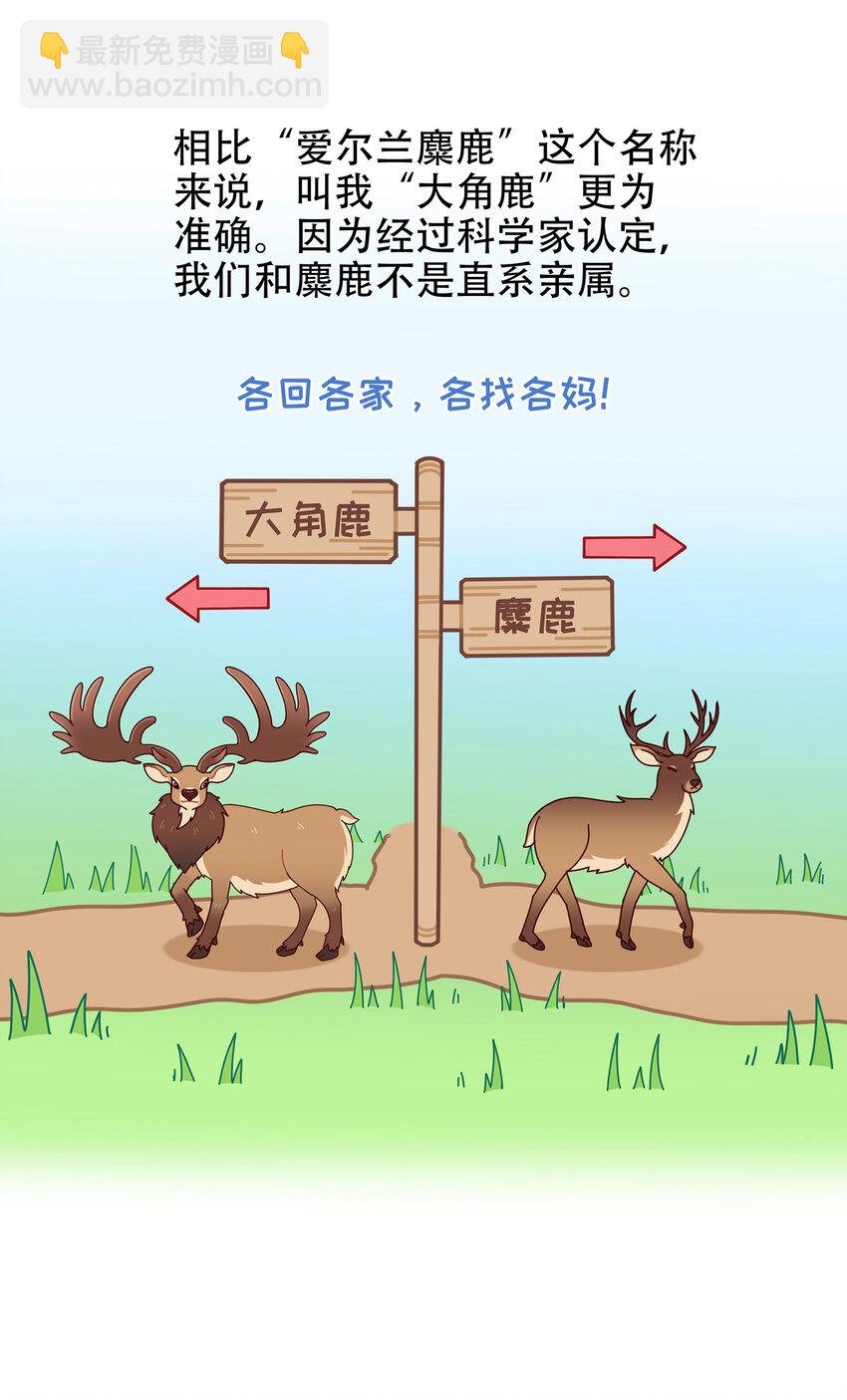 08 爱尔兰传奇