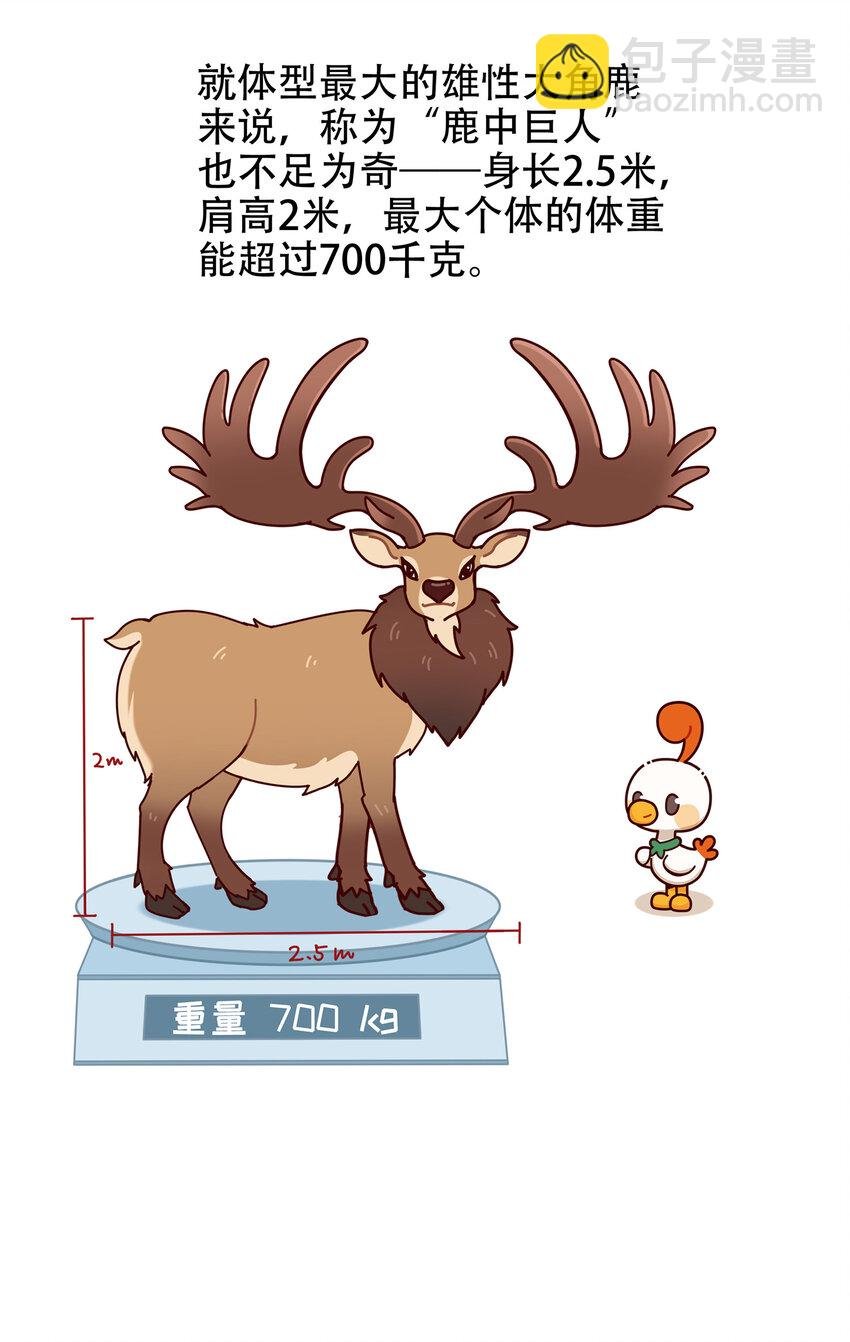 08 爱尔兰传奇