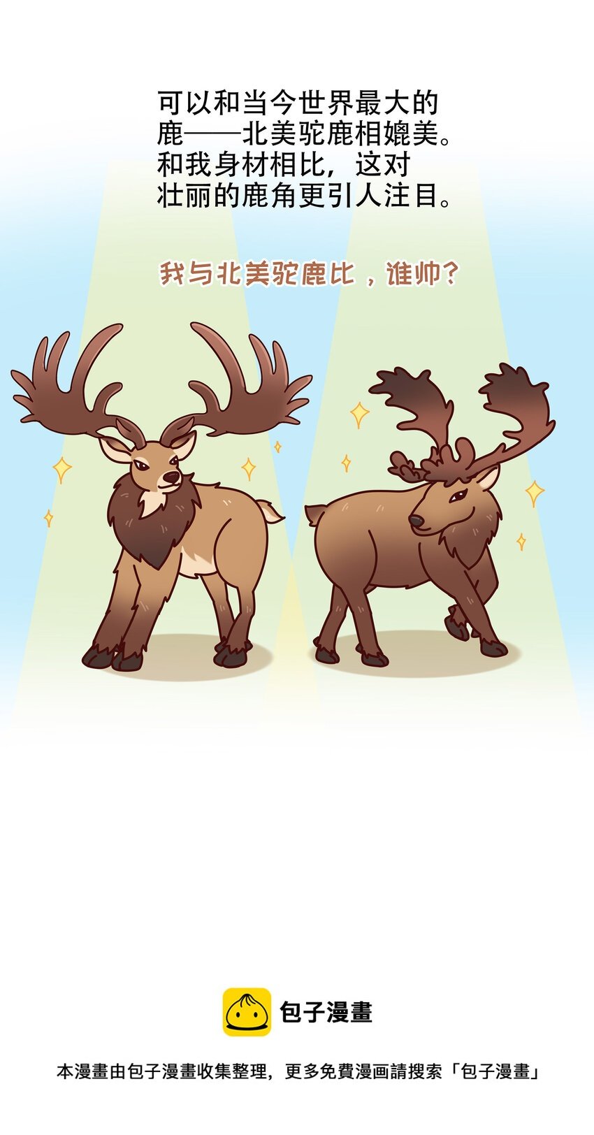 08 爱尔兰传奇