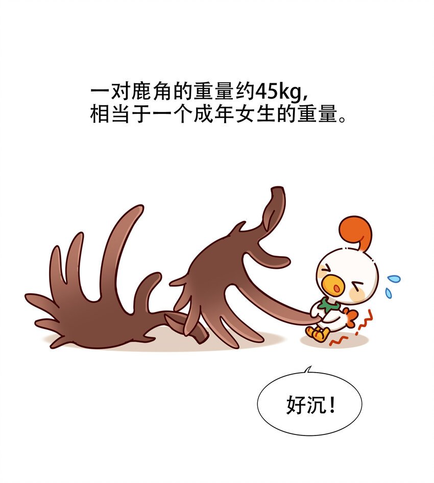 08 爱尔兰传奇