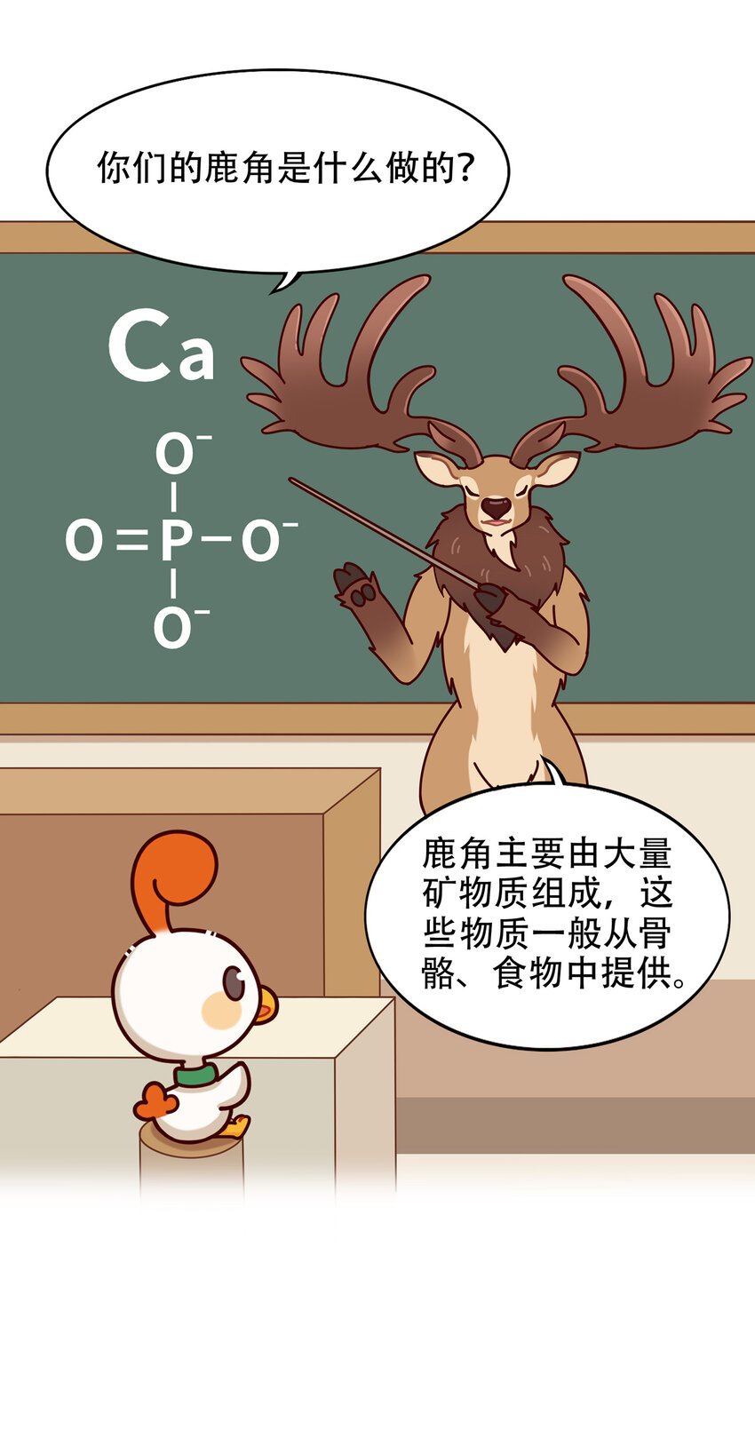 08 爱尔兰传奇