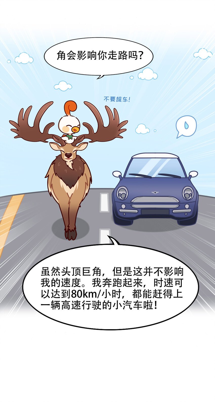 08 爱尔兰传奇