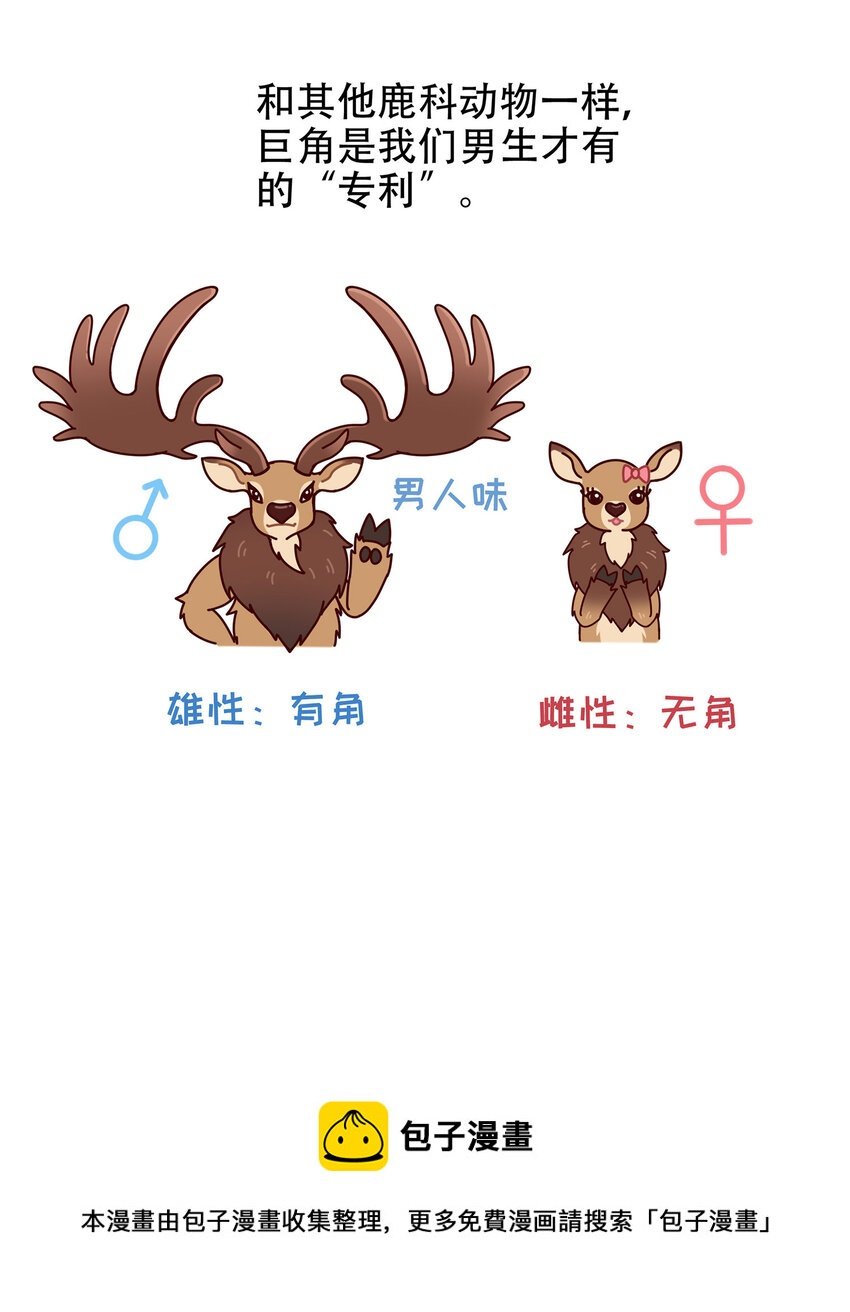 08 爱尔兰传奇