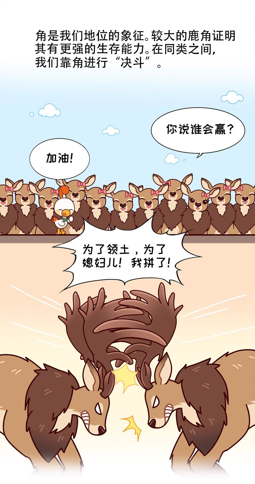 08 爱尔兰传奇