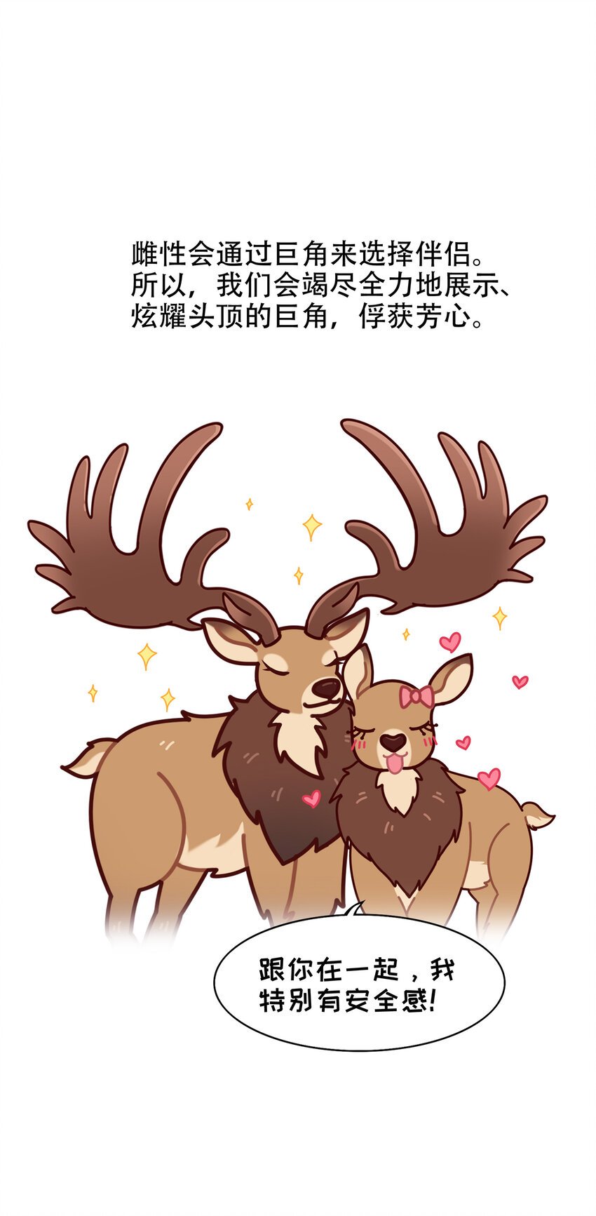 08 爱尔兰传奇