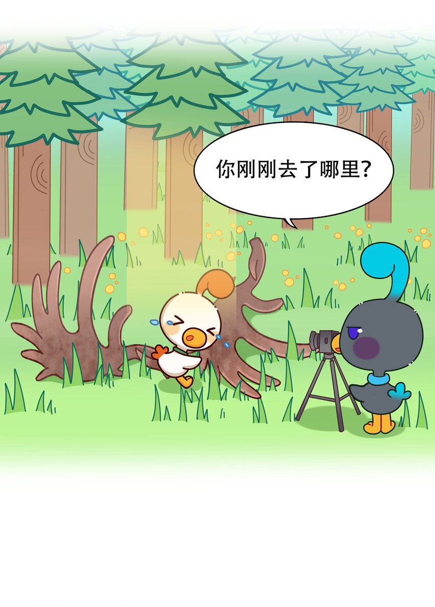 08 爱尔兰传奇