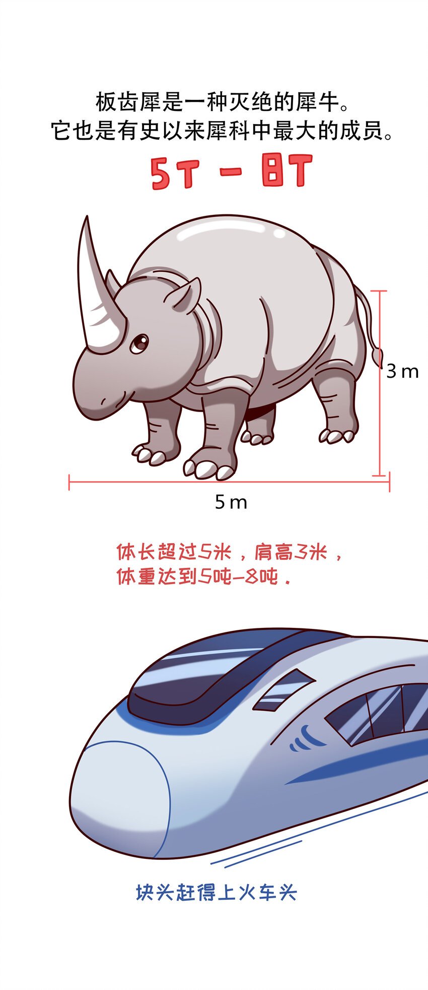 06 神秘的“独角兽”