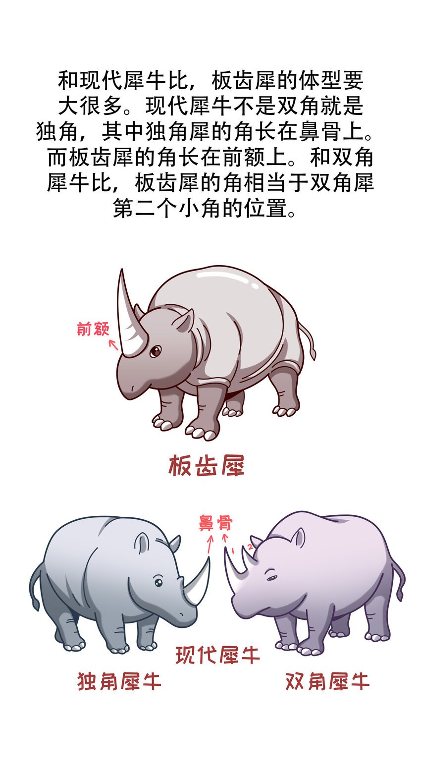 06 神秘的“独角兽”