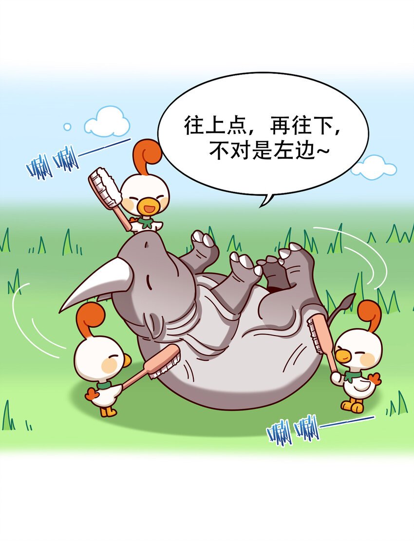 06 神秘的“独角兽”