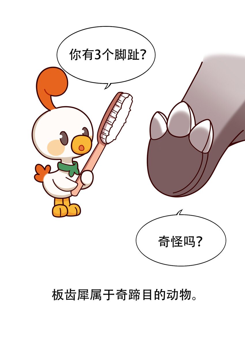 06 神秘的“独角兽”