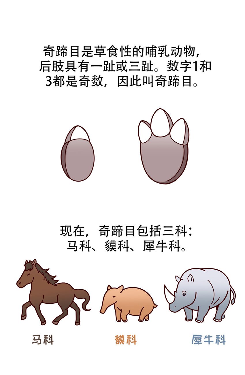 06 神秘的“独角兽”
